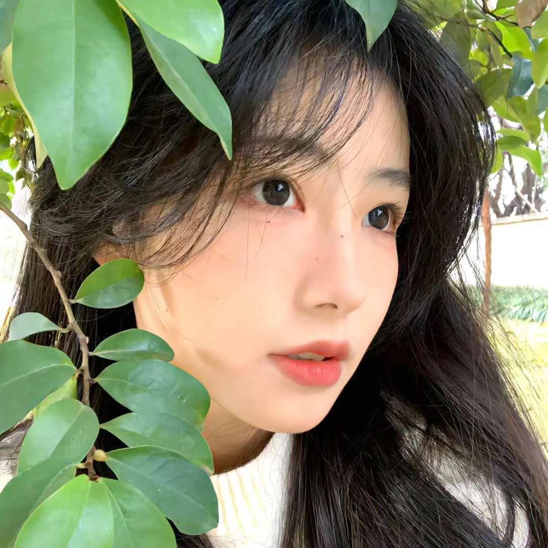 势不两立粤语